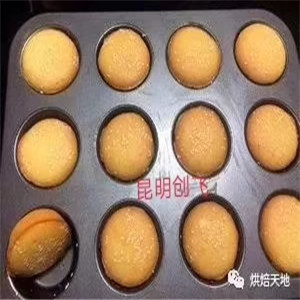 從入門到創(chuàng)業(yè) 網(wǎng)紅西點(diǎn)蛋糕學(xué)習(xí)指南與甜味烘焙產(chǎn)品進(jìn)階之路